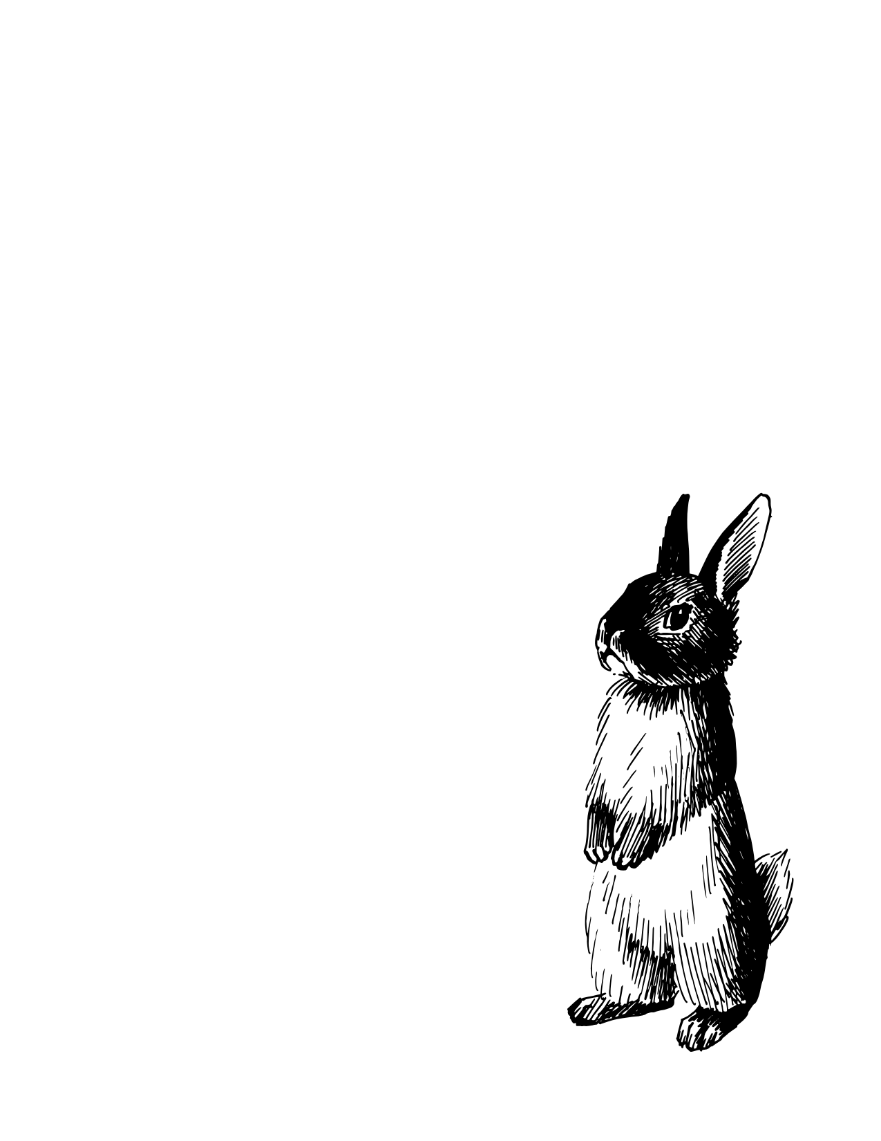 1081