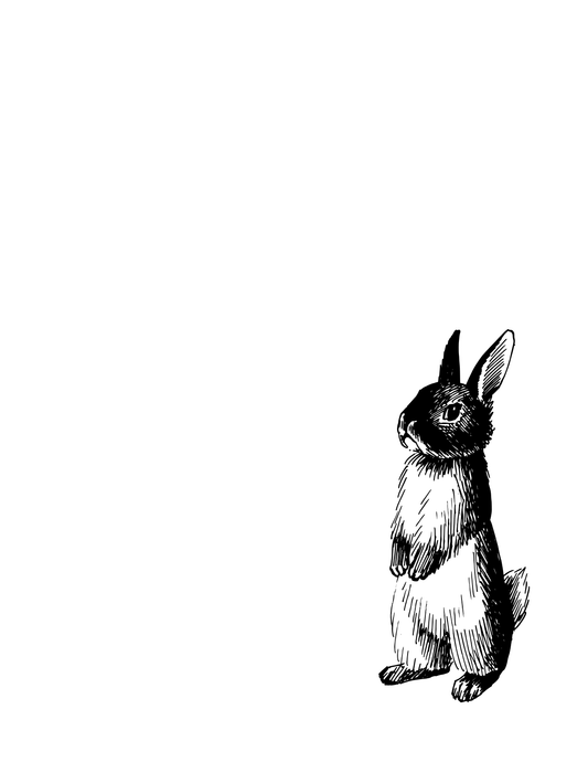 1081